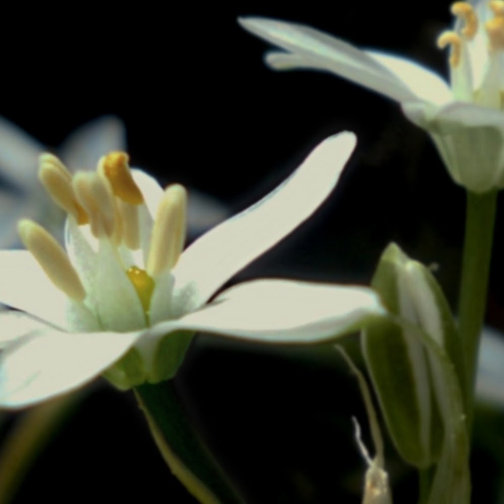 Meet your Posher, Steph